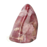 Versteend hout sculptuur nr 30