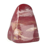 Versteend hout sculptuur nr 30