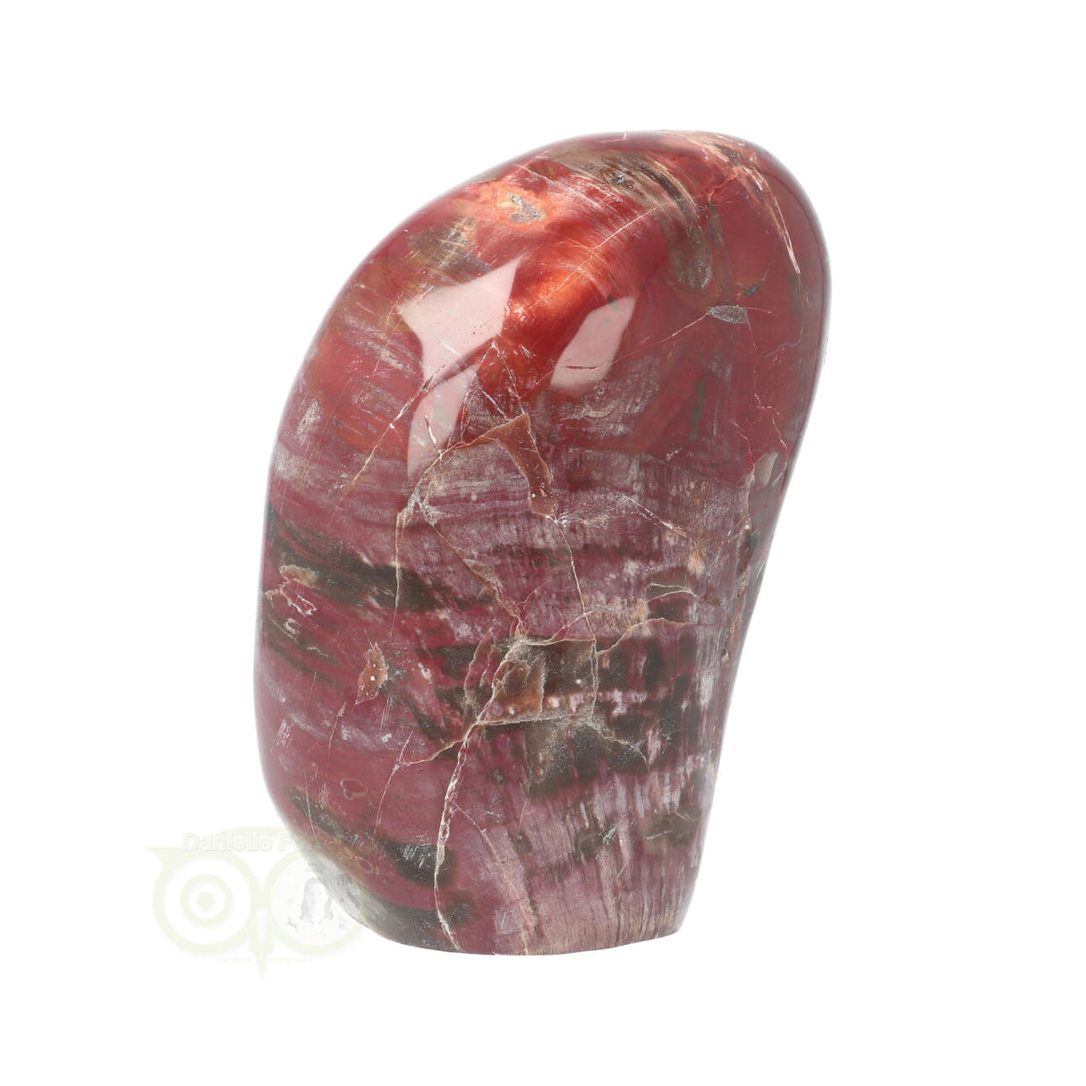 Versteend hout sculptuur nr 31