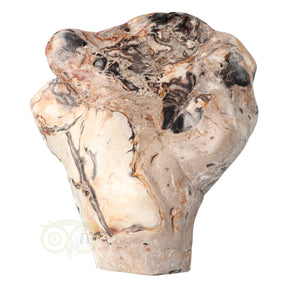 Versteend hout sculptuur nr. 51 van 3867 gram met houtstructuur