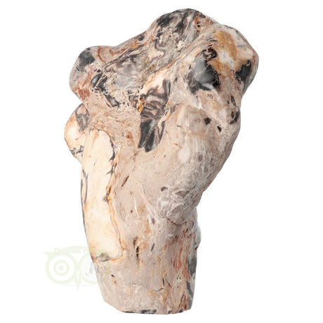 Versteend hout edelsteen sculptuur met robuuste uitstraling