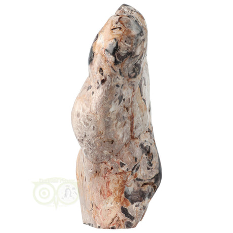 Versteend hout sculptuur met natuurlijke patronen en structuur