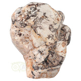 Versteend hout sculptuur nr 51