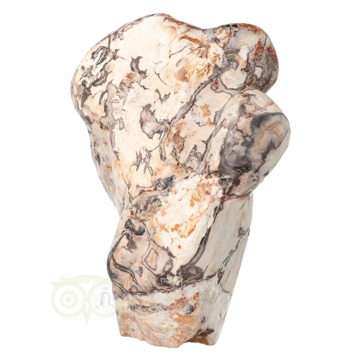 Versteend hout sculptuur nr 51