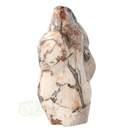 Versteend hout sculptuur gepolijst met aardse tinten