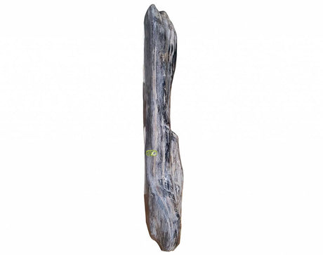 Versteend hout 'Totempaal' - Java 30,4 kg | Uniek Exclusive-Art