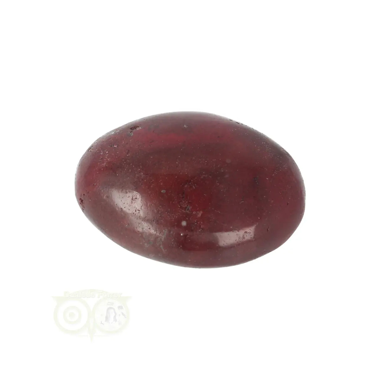 Versteend hout zaksteen Nr 12