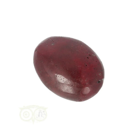 Versteend hout zaksteen Nr 12