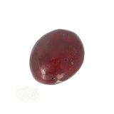 Versteend hout zaksteen Nr 12