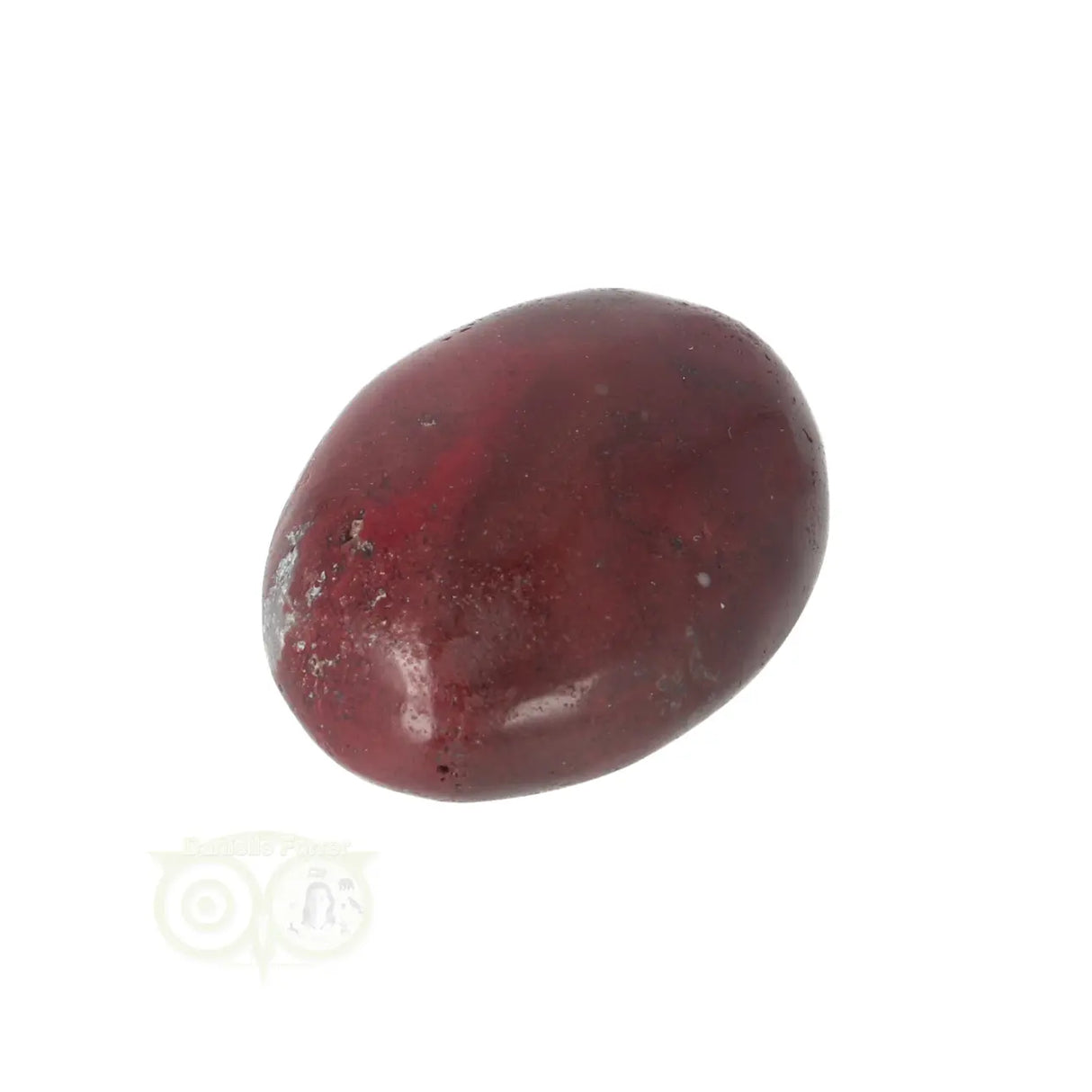 Versteend hout zaksteen Nr 12