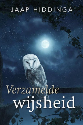 Boek Verzamelde wijsheid van Jaap Hiddinga – BRES-artikelen over Goddelijke wijsheid, bewustzijn en spiritualiteit – 160 pagina's – Webshop Danielle Forrer - Voorkant