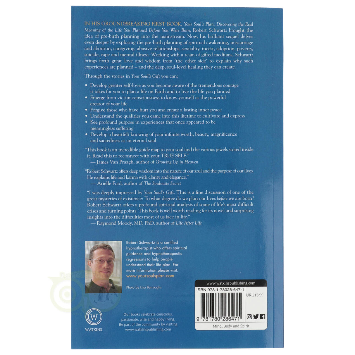 Das Geschenk deiner Seele – Robert Schwartz