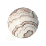 Zebra calciet Bol Nr 5 - Ø 5.30 cm