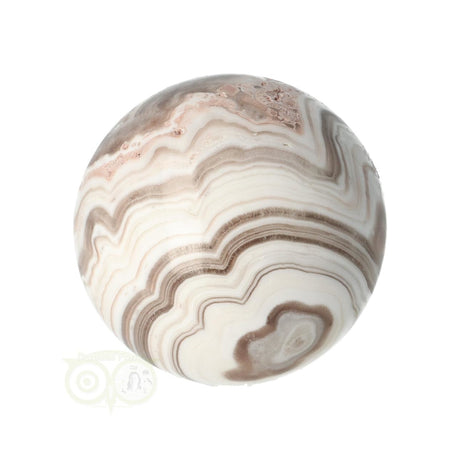 Zebra calciet bol nr. 5 – onderaanzicht – Mexico – Webshop Danielle Forrer