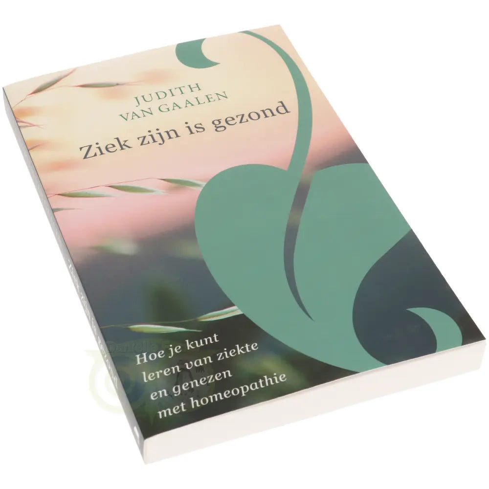 Ziek zijn is gezond  - Judith van Gaalen